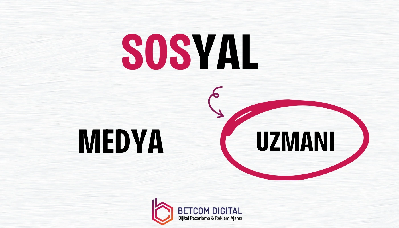 sosyal medya uzmanı profesyonel hizmetleri